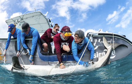 Screenshot 2025 07 01 at 12 11 30 PM